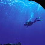 Diving Excursion Tour Yoga Retreat